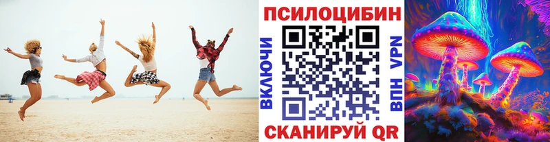 Псилоцибиновые грибы Psilocybe  Купить закладки  Комсомольск-на-Амуре 